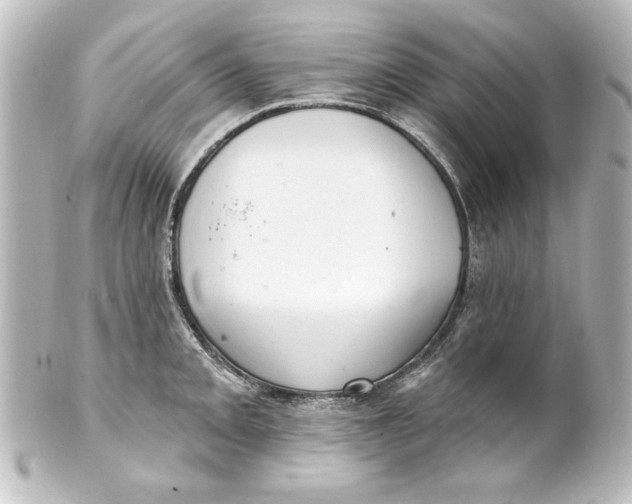 X0000101421093200807280932