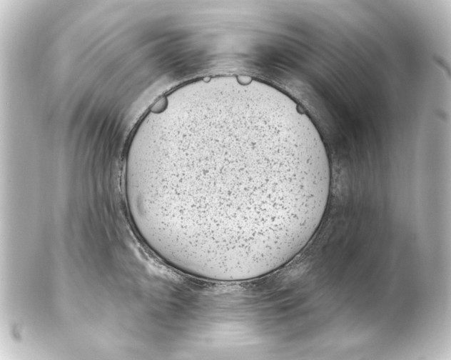 X0000101421094200807280932