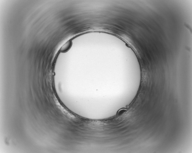 X0000101421100200807280932