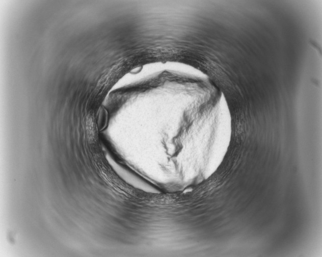 X0000101421106200807280931