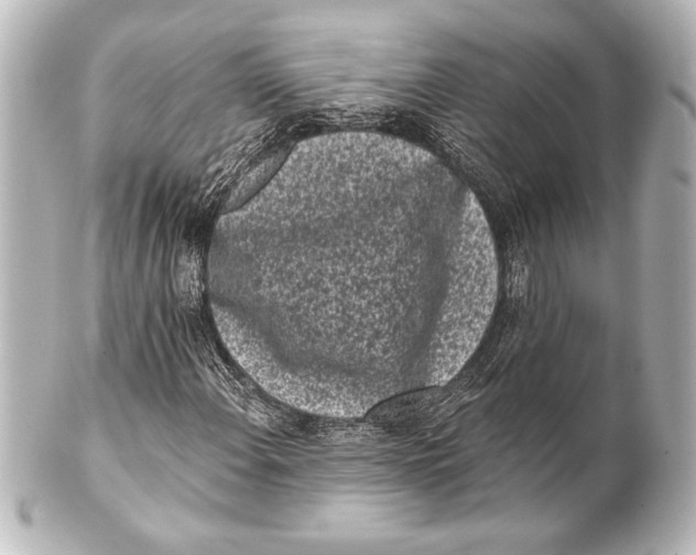 X0000101421108200807280931
