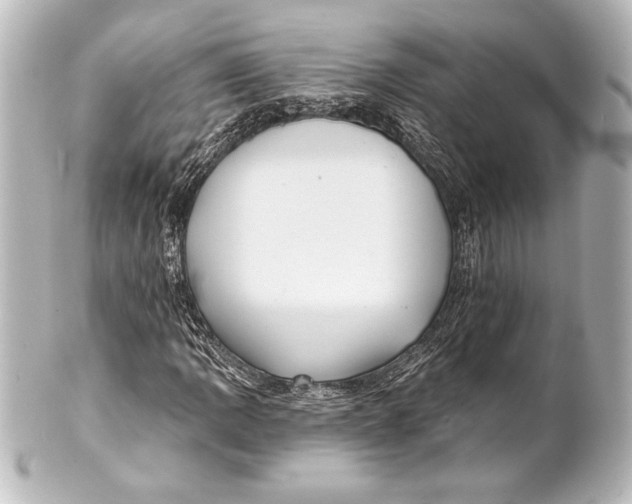 X0000101421109200807280931
