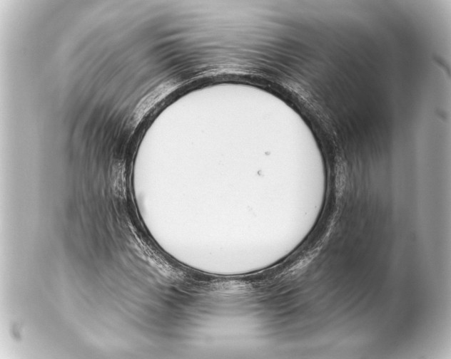 X0000101421113200807280931