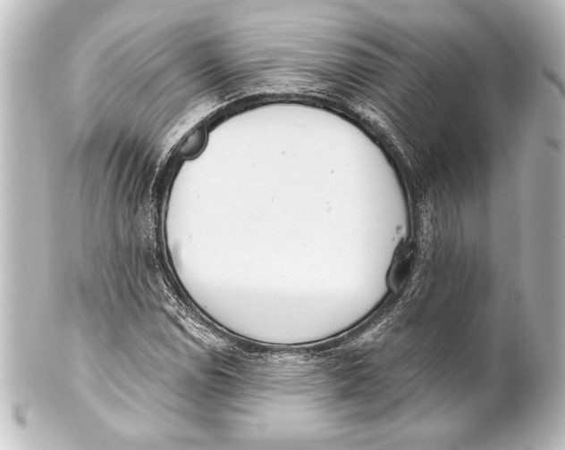 X0000101421114200807280931