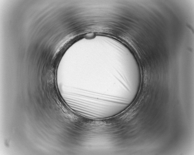 X0000101421115200807280931