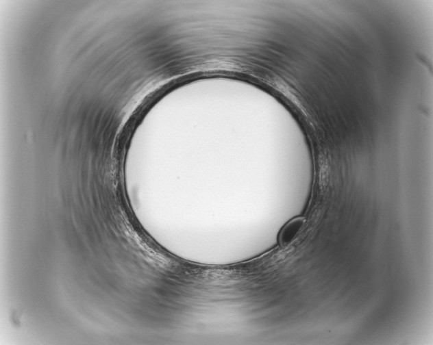 X0000101421116200807280931