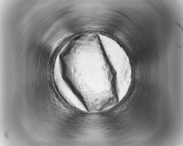 X0000101421117200807280931