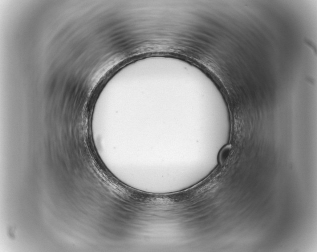 X0000101421119200807280931