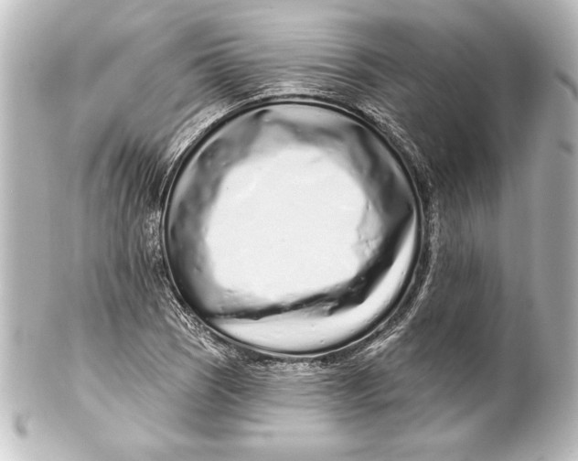 X0000101421121200807280931