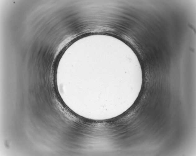 X0000101421122200807280931