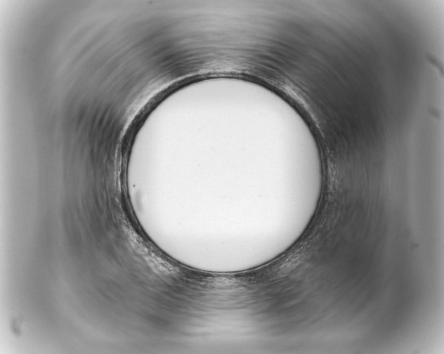 X0000101421124200807280931