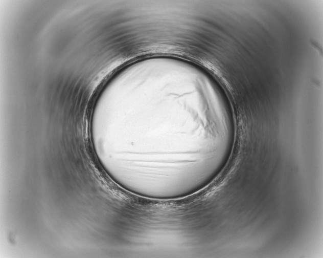 X0000101421125200807280931