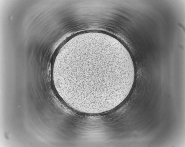 X0000101421126200807280931