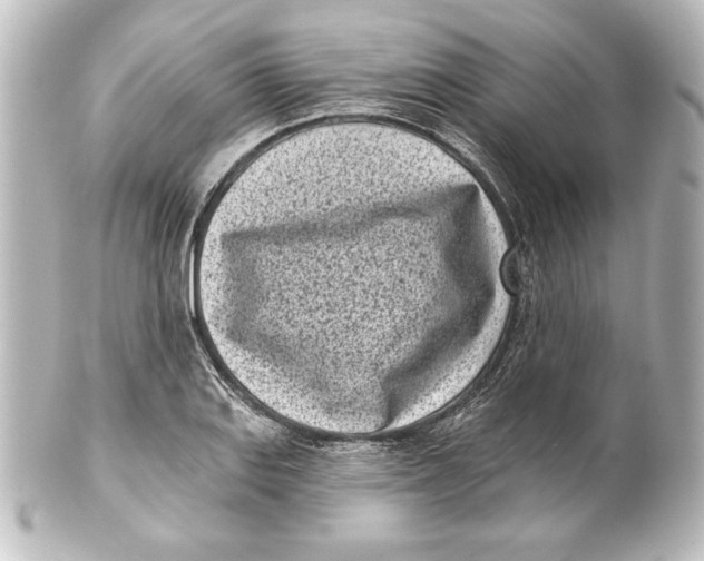 X0000101421127200807280931