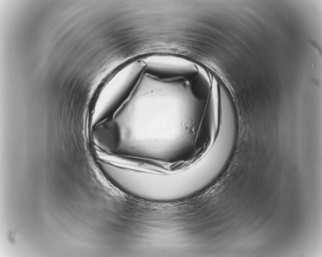 X0000101421128200807280931