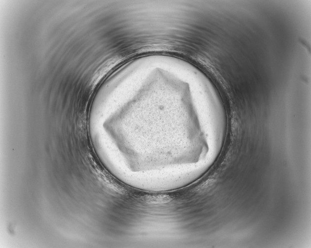 X0000101421129200807280931