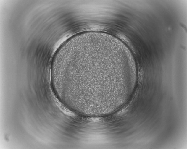 X0000101421130200807280931
