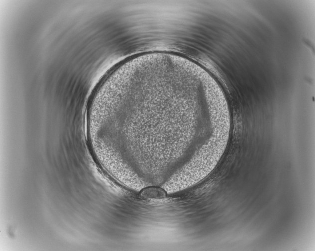 X0000101421132200807280931