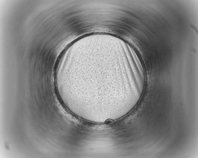 X0000101421133200807280932