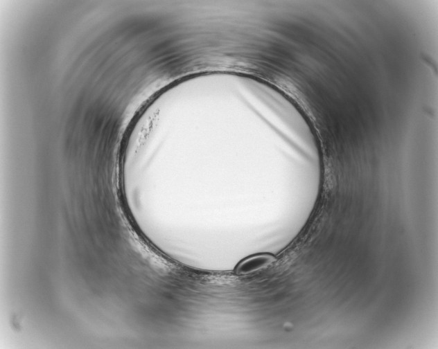 X0000101421136200807280932