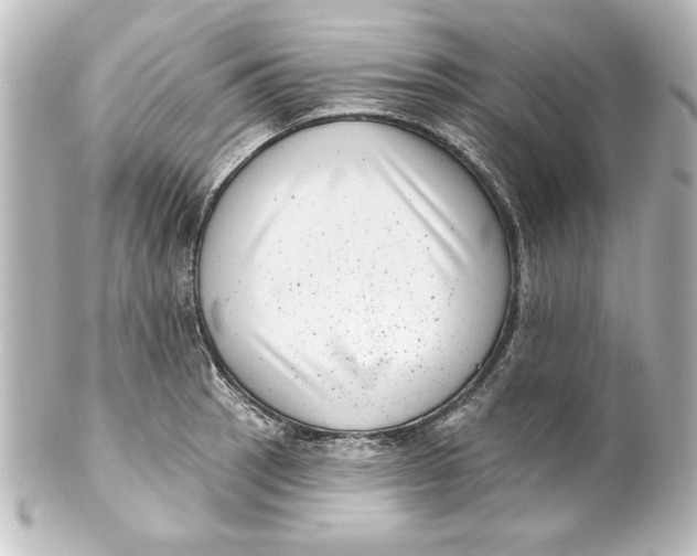 X0000101421137200807280932