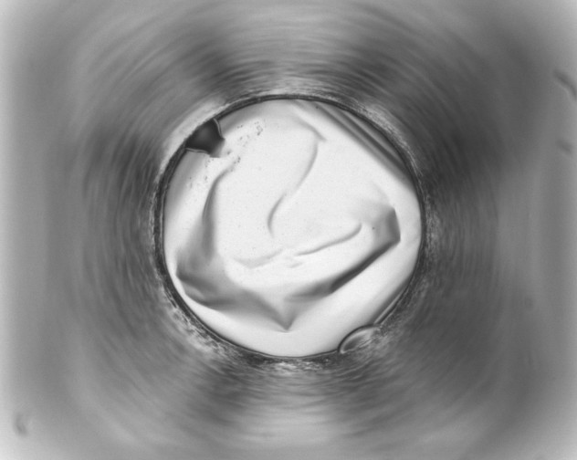 X0000101421138200807280932