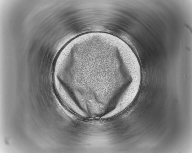 X0000101421141200807280932