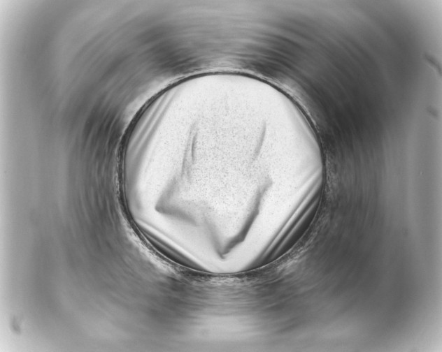 X0000101421142200807280932
