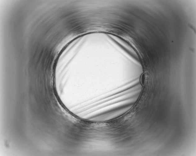 X0000101421143200807280932