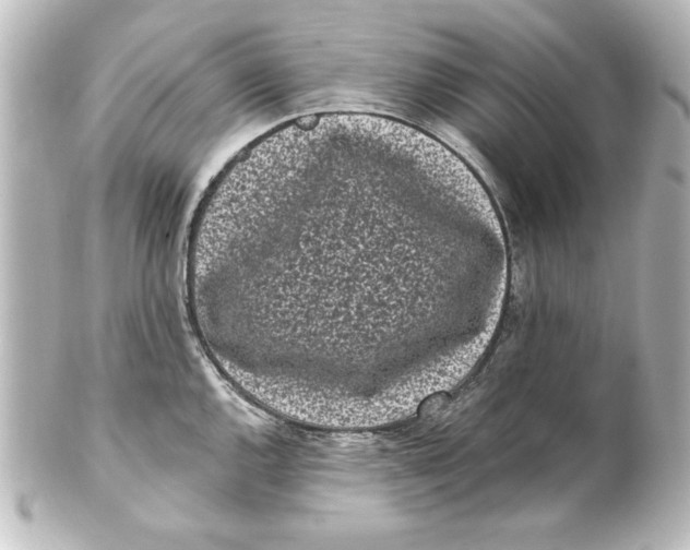 X0000101421144200807280932