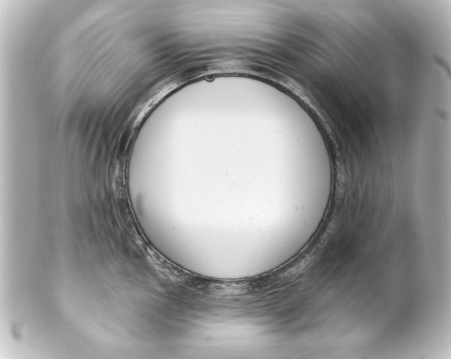 X0000101421145200807280932