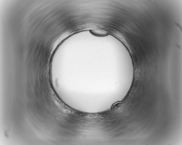 X0000101421146200807280932