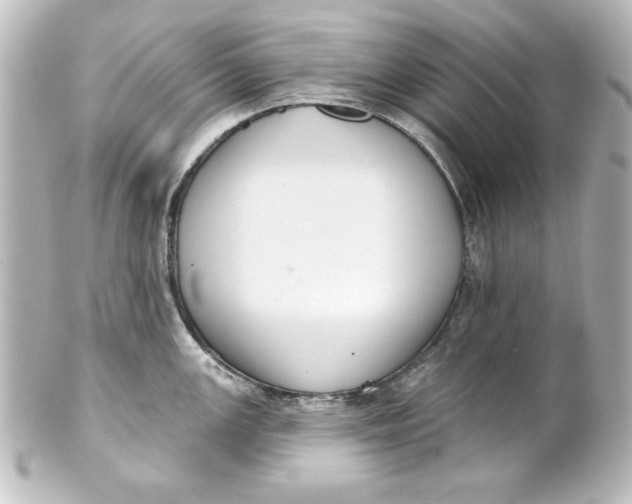 X0000101421147200807280932