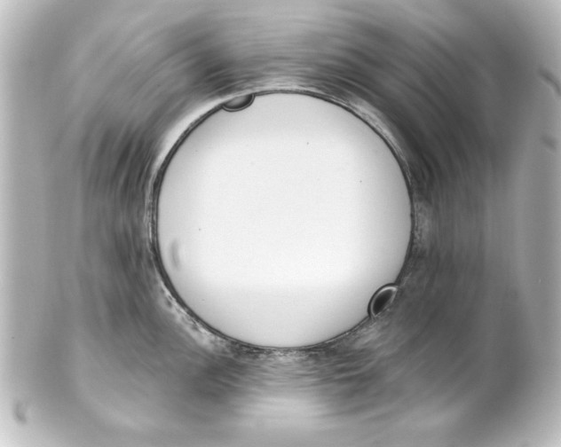X0000101421148200807280932