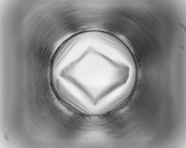 X0000101421149200807280932