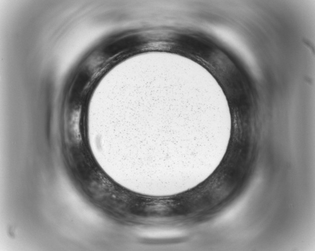 X0000101421150200807280932
