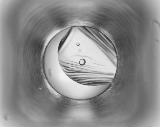 X0000101421152200807280932