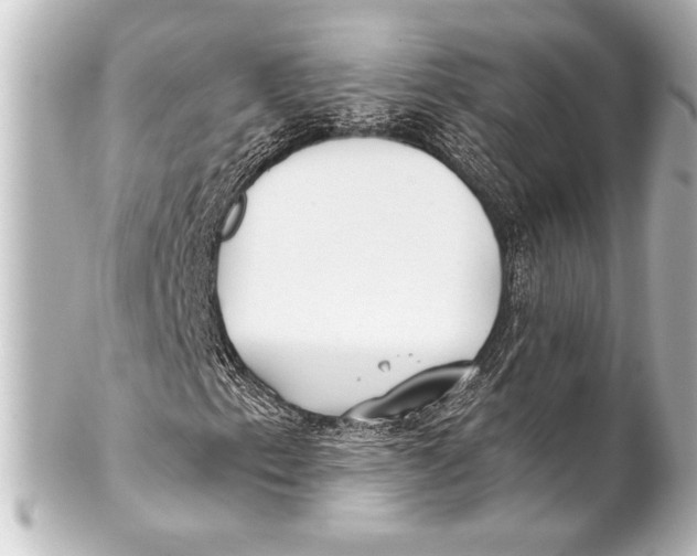 X0000101421153200807280931