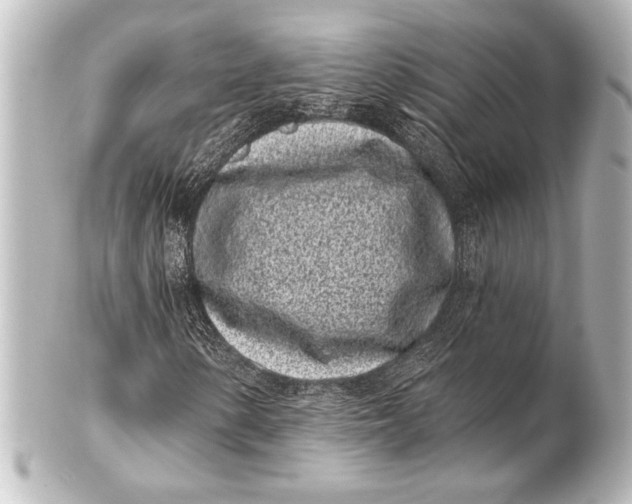 X0000101421154200807280931