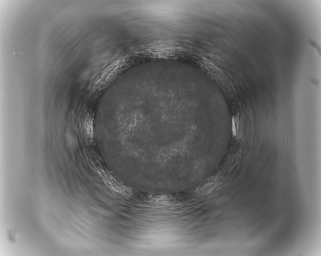 X0000101421155200807280931