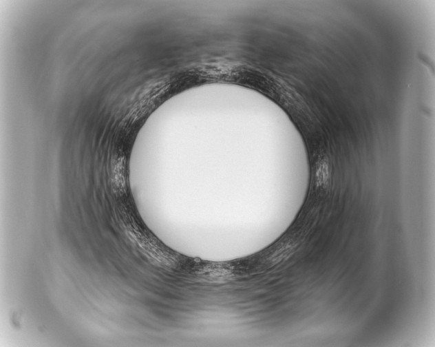 X0000101421156200807280931
