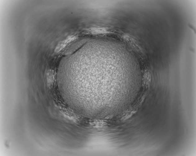 X0000101421157200807280931