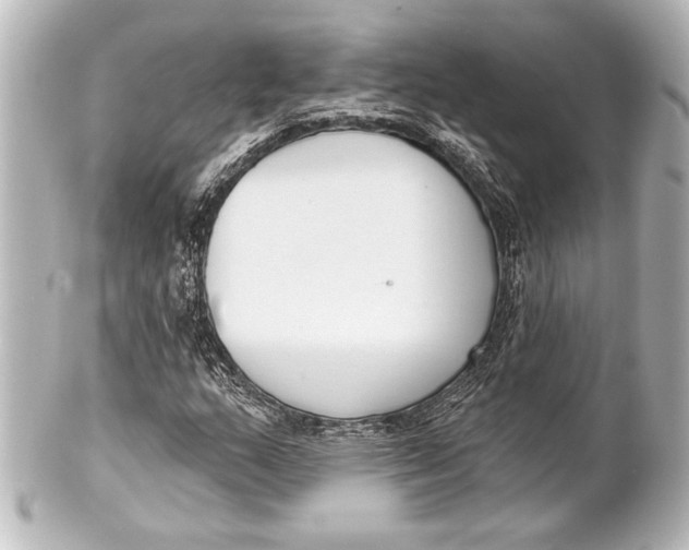 X0000101421159200807280931