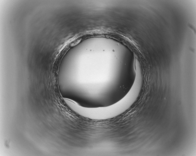 X0000101421160200807280931