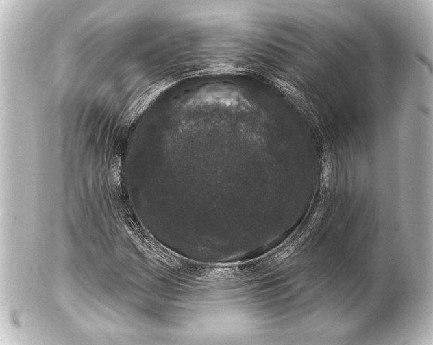 X0000101421161200807280931