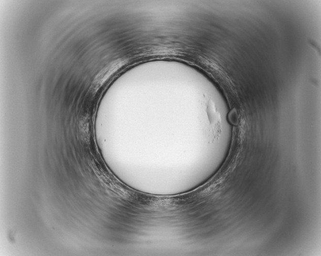 X0000101421162200807280931