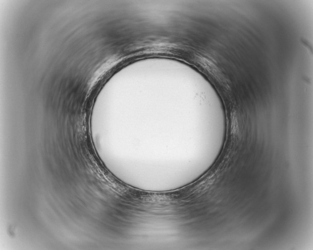 X0000101421164200807280931
