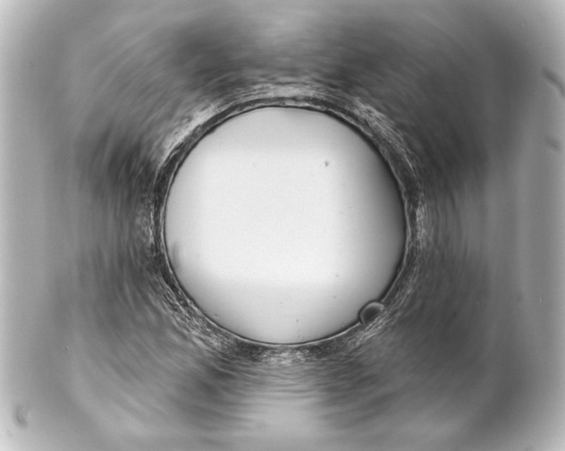 X0000101421165200807280931