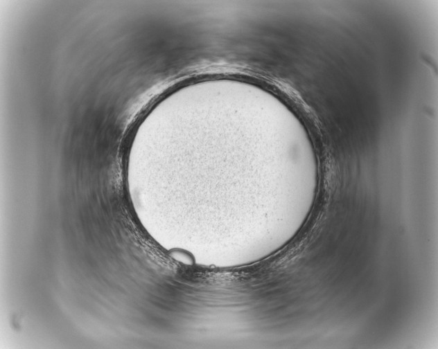 X0000101421167200807280931