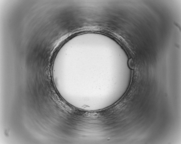 X0000101421168200807280931